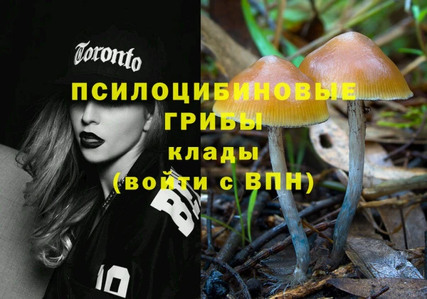 дживик Белокуриха