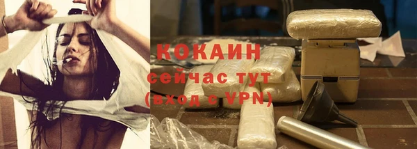 дживик Белокуриха