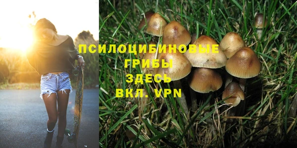 дживик Белокуриха