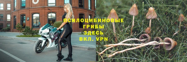 трава Беломорск