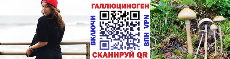 Псилоцибиновые грибы Cubensis  дарнет шоп  mega рабочий сайт  Кубинка 